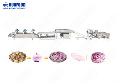 500kg/H AutomaticFruitおよび野菜加工ライン果物と野菜のクリーニング機械
