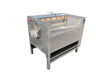 1000kg/h食糧工場コンベヤー ベルトのクリーニング ブラシの洗濯機