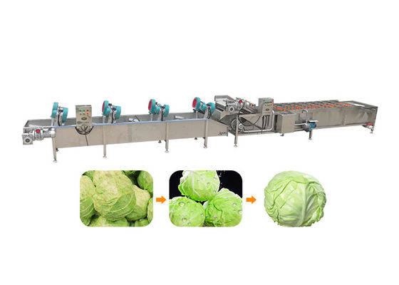 5.1KW 380v 50hz 1500kg/Hの野菜クリーニング機械