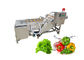 気泡3.75KW 500kg/hの野菜洗浄装置