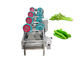 クリーニングは500kg/hをドライヤー処理して野菜空気実を結ぶ