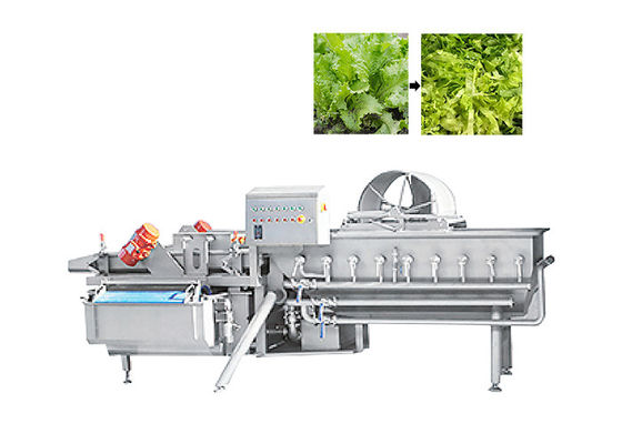 フルーツのサラダ野菜のための1000kg/H緑の葉のカッターのレタスの打抜き機