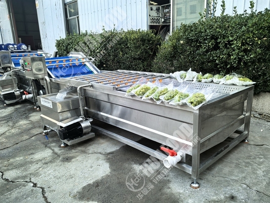フルーツと野菜の洗濯機 羽と220V電圧