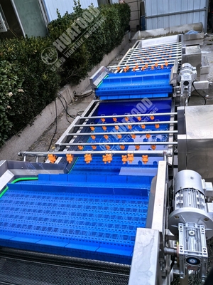 フルーツと野菜の洗濯機 羽と220V電圧