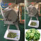 ケイタリング企業の緑葉菜のカッター、ポテトの打抜き機