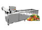 野菜フルーツの泡洗濯機は機械レストランのための野菜オゾン クリーニング実を結ぶ