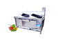 SS304物質的な自動野菜フルーツの洗濯機