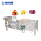 自動超音波フルーツ野菜の洗濯機および白くなる機械
