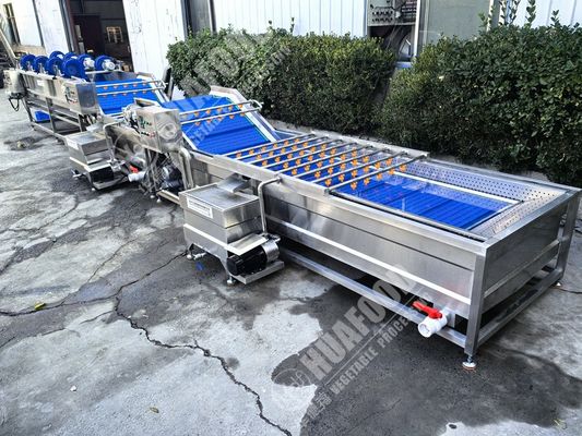 フルーツと野菜の洗濯機 羽と220V電圧